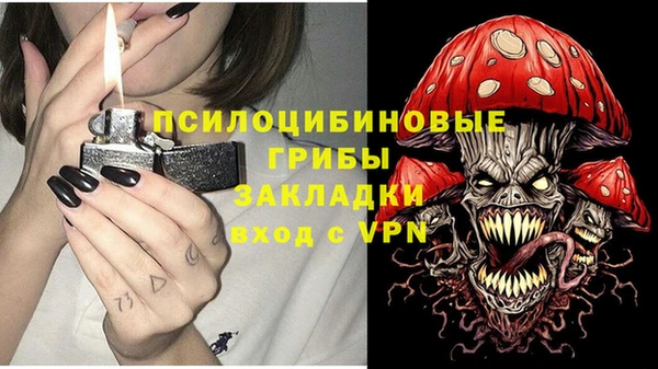 дурь Алексин